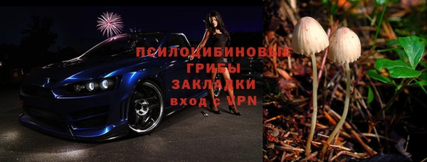 мдпв Армянск